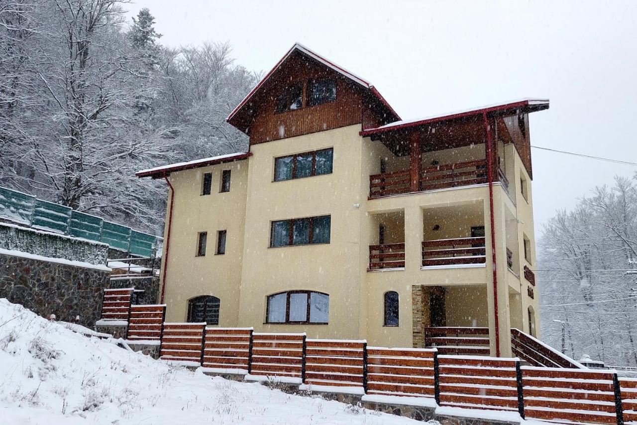 Casa Raisa Hotel Busteni Exterior photo